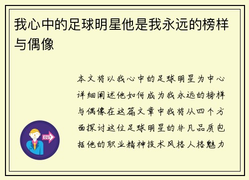 我心中的足球明星他是我永远的榜样与偶像